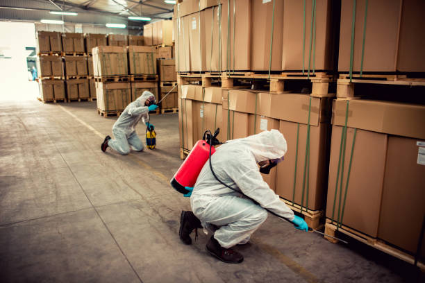 Best Best Pest Control Companies  in Mountainhome, PA