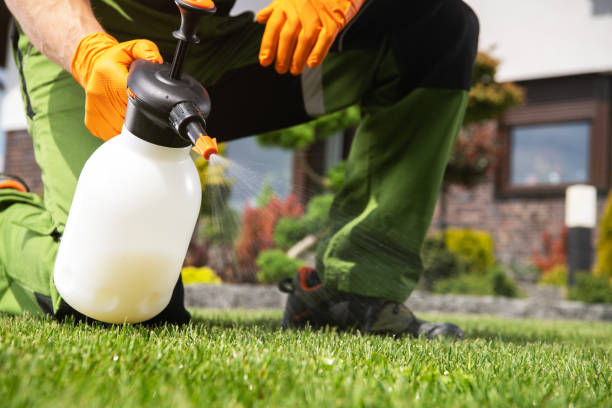 Best Affordable Pest Control Services  in Mountainhome, PA
