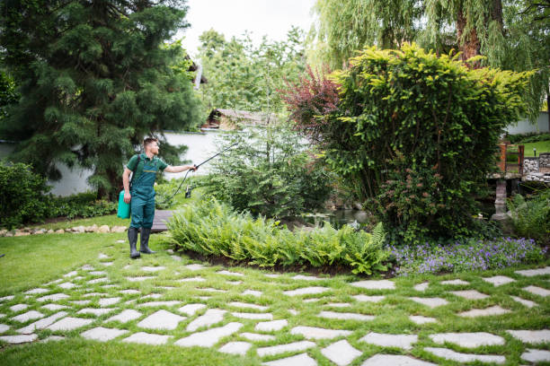 Best Wasp Removal Services  in Mountainhome, PA