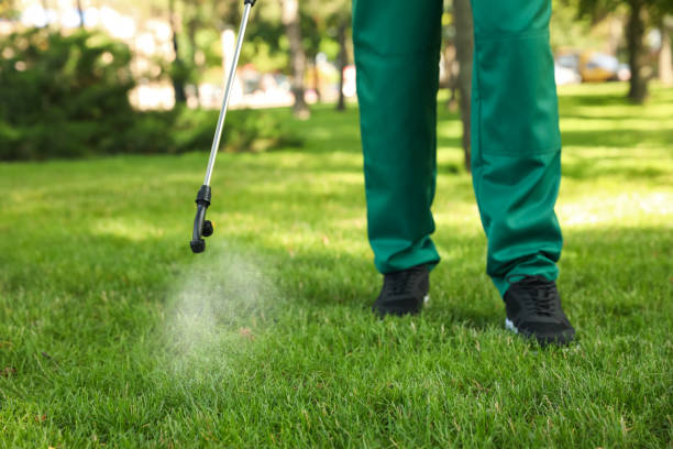 Trusted Mountainhome, PA Pest Control Experts