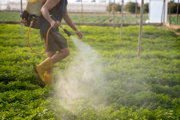 Best Affordable Pest Control Services  in Mountainhome, PA