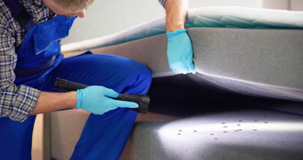 Best Local Pest Control Services  in Mountainhome, PA