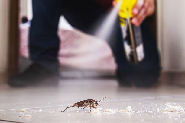 Wasp Removal Services in Mountainhome, PA