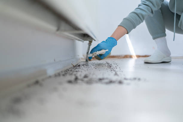 Best Rat Extermination Near Me  in Mountainhome, PA